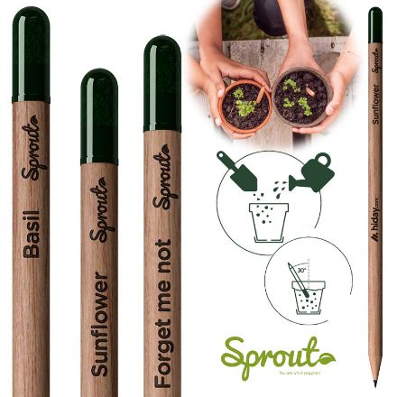 sprout gescherpt potlood met zaadjes