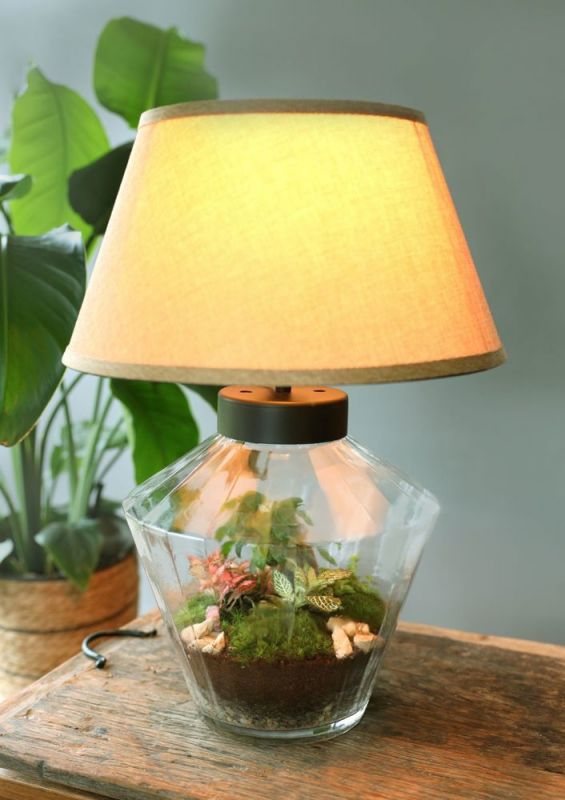 Wardians® Ecosystem - Lampshade