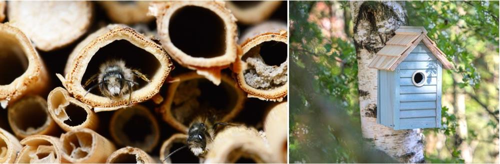 Online gifts voor onze dierenvrienden op maat bestellen, bij Harogifts